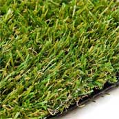 Woodthorpe Grass