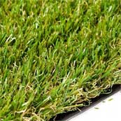 Rufford Grass