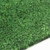 Wollaton Grass